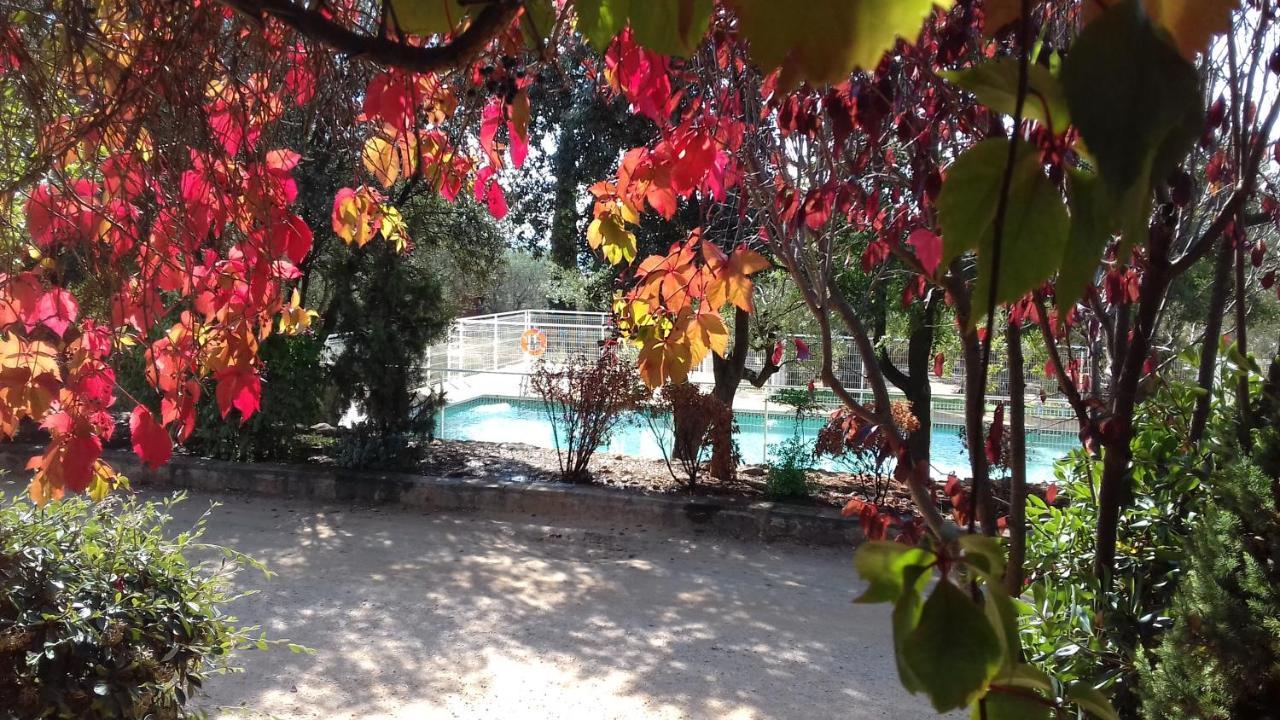 Camping Alquézar Exteriör bild