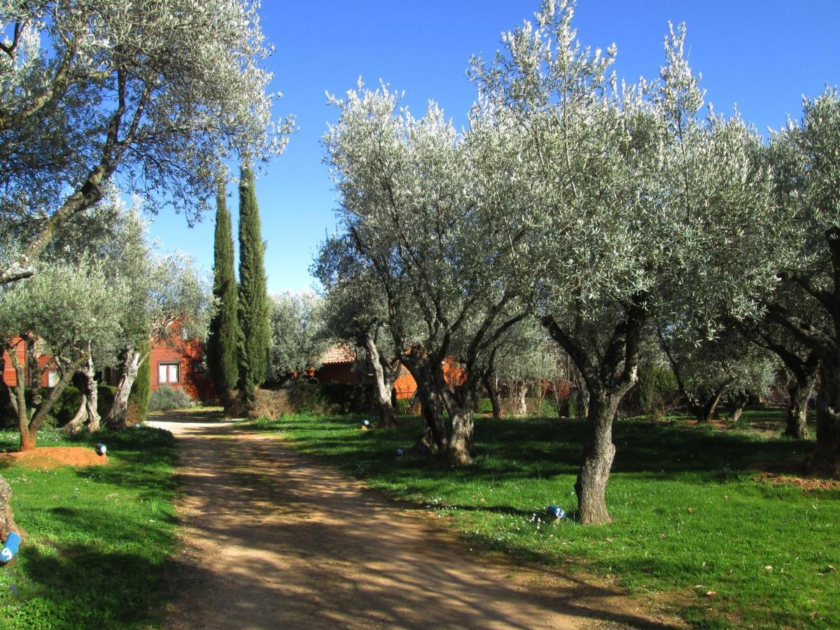 Camping Alquézar Exteriör bild