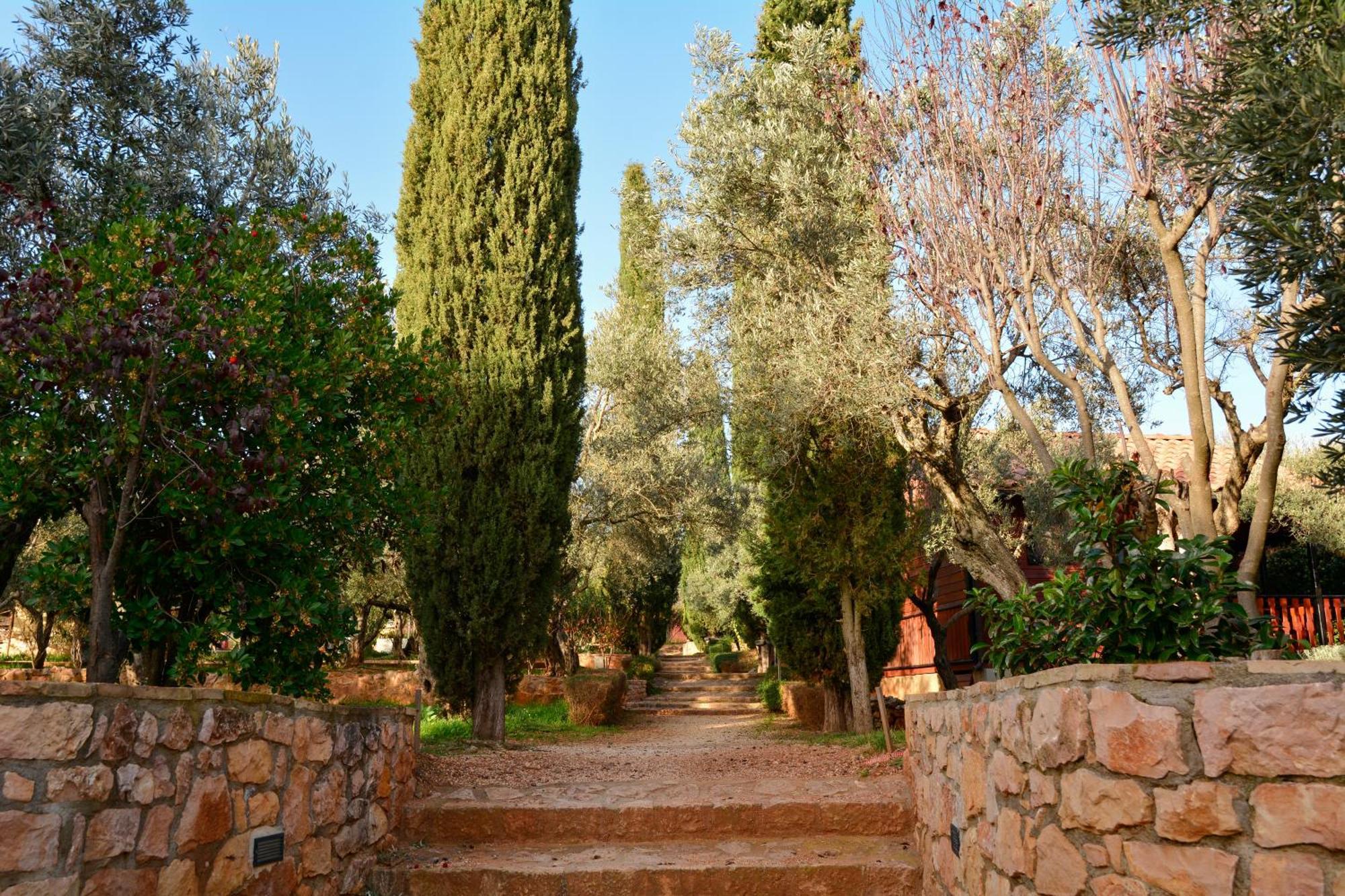 Camping Alquézar Exteriör bild