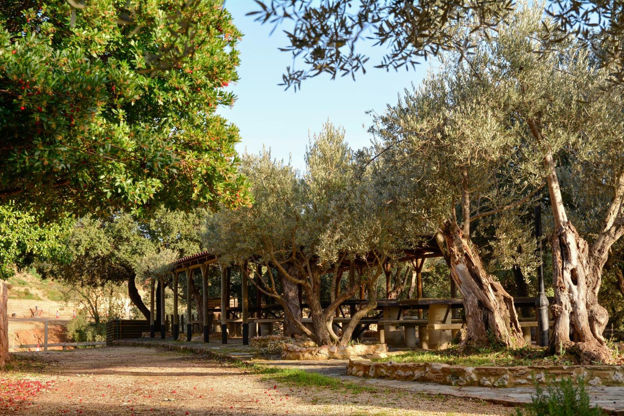 Camping Alquézar Exteriör bild