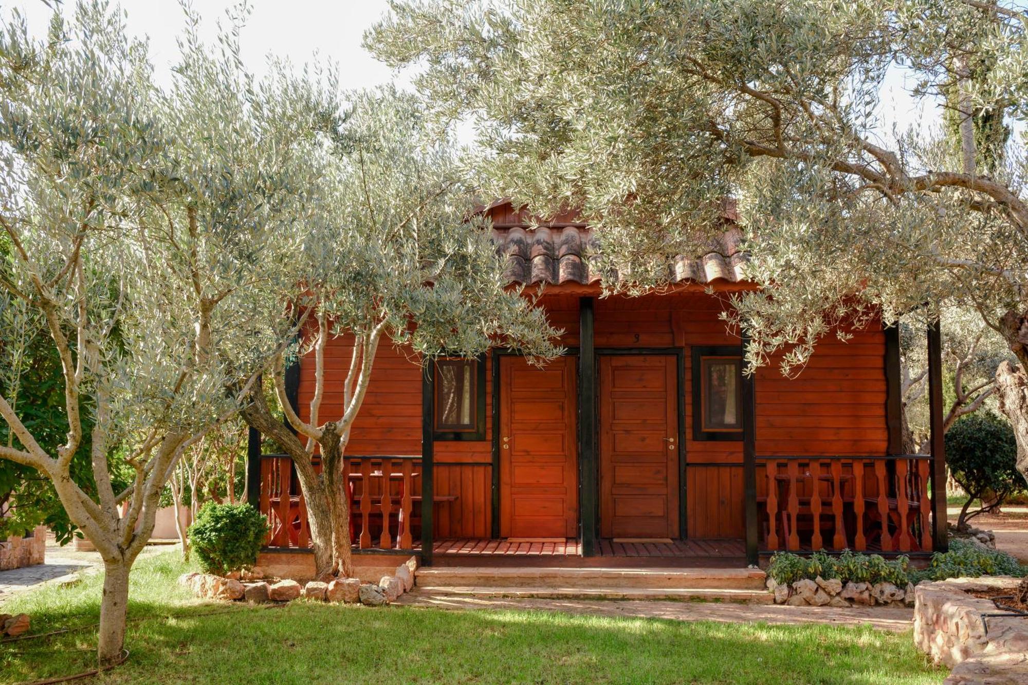 Camping Alquézar Exteriör bild