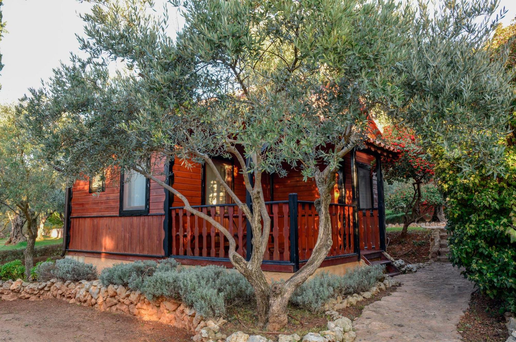 Camping Alquézar Exteriör bild