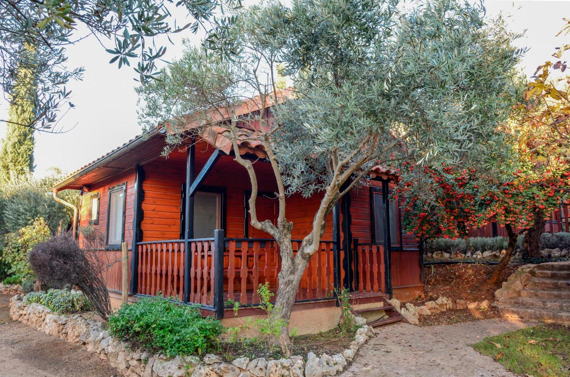 Camping Alquézar Exteriör bild