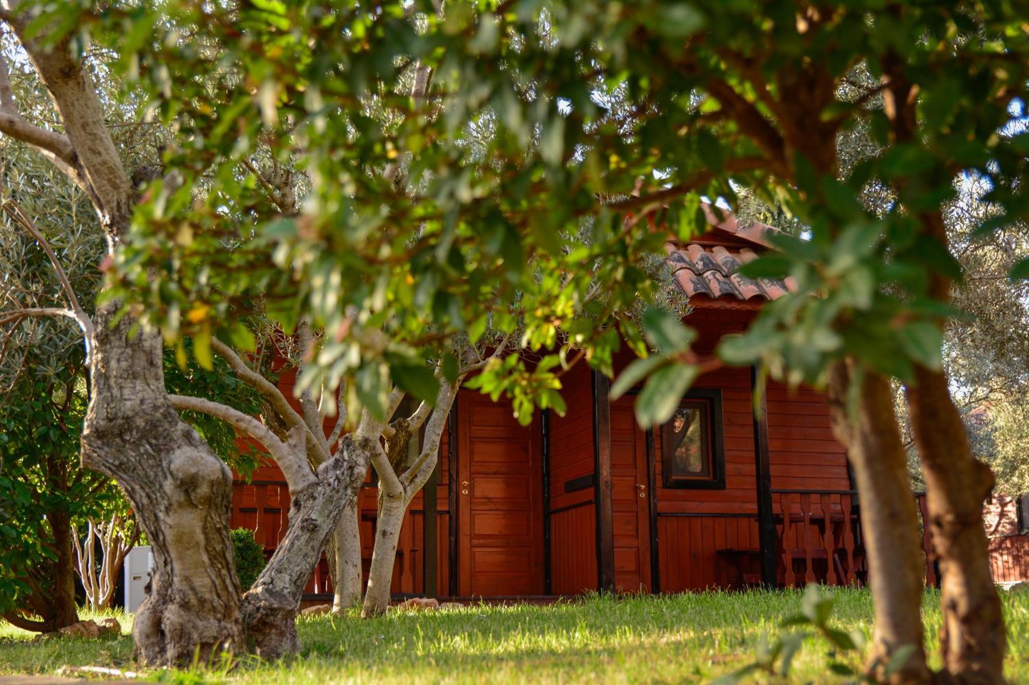 Camping Alquézar Exteriör bild