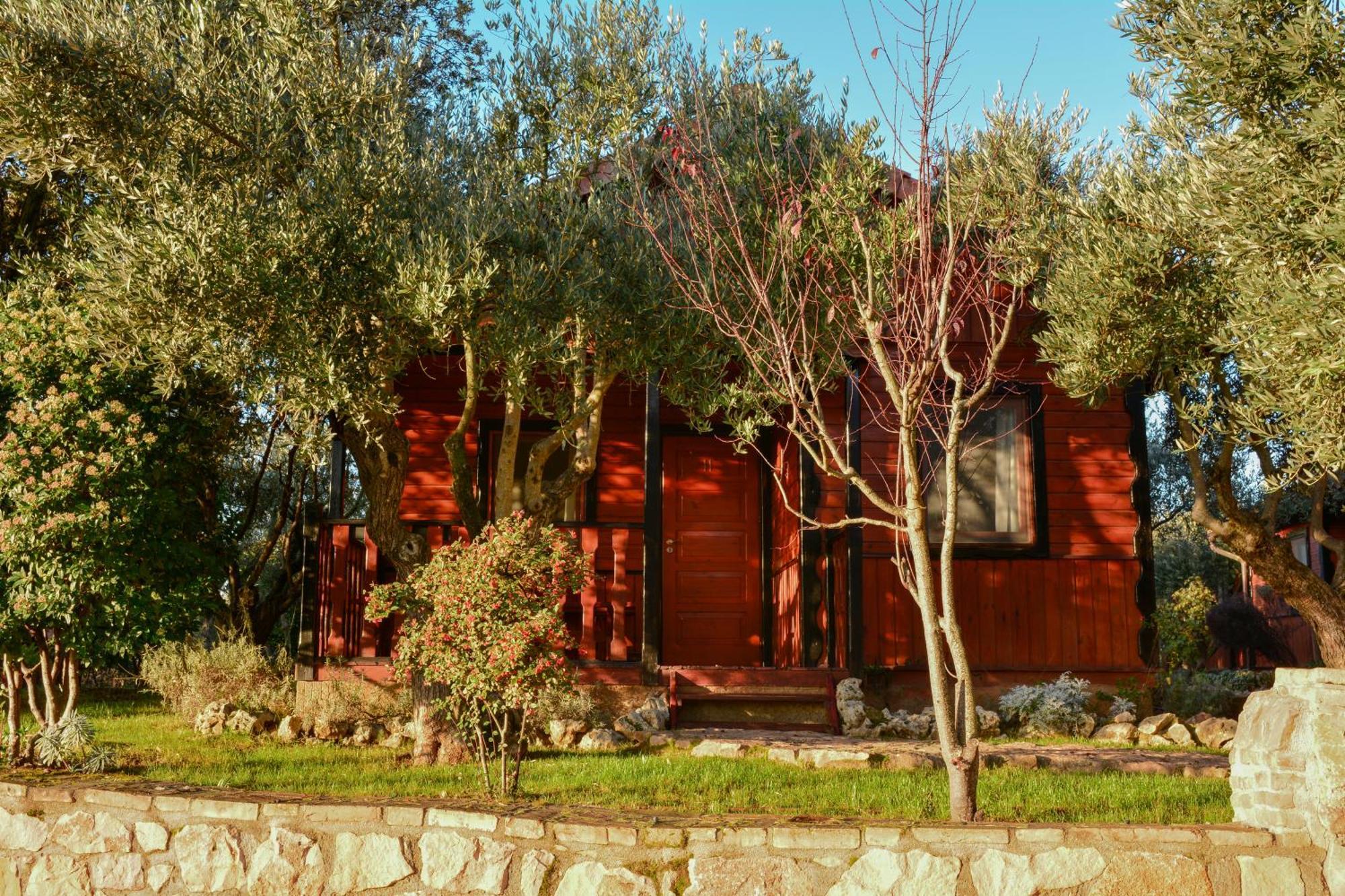 Camping Alquézar Exteriör bild